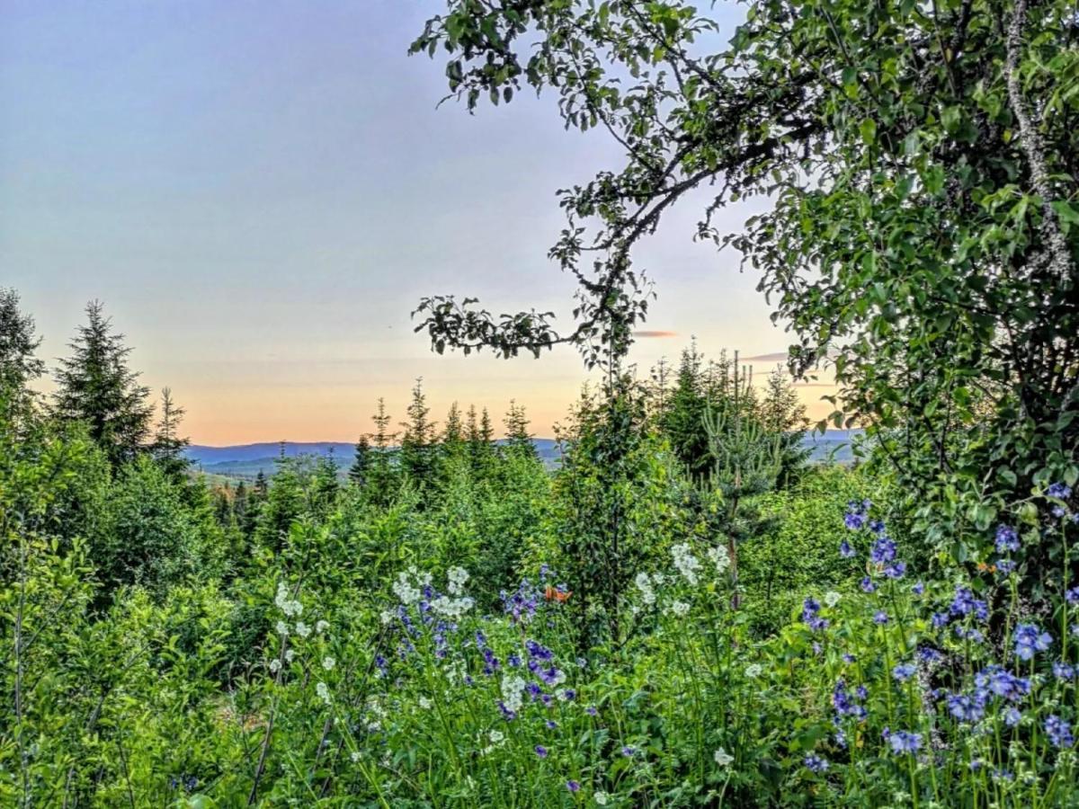 Glamping Tent With Amazing View In The Forest Torsby Extérieur photo