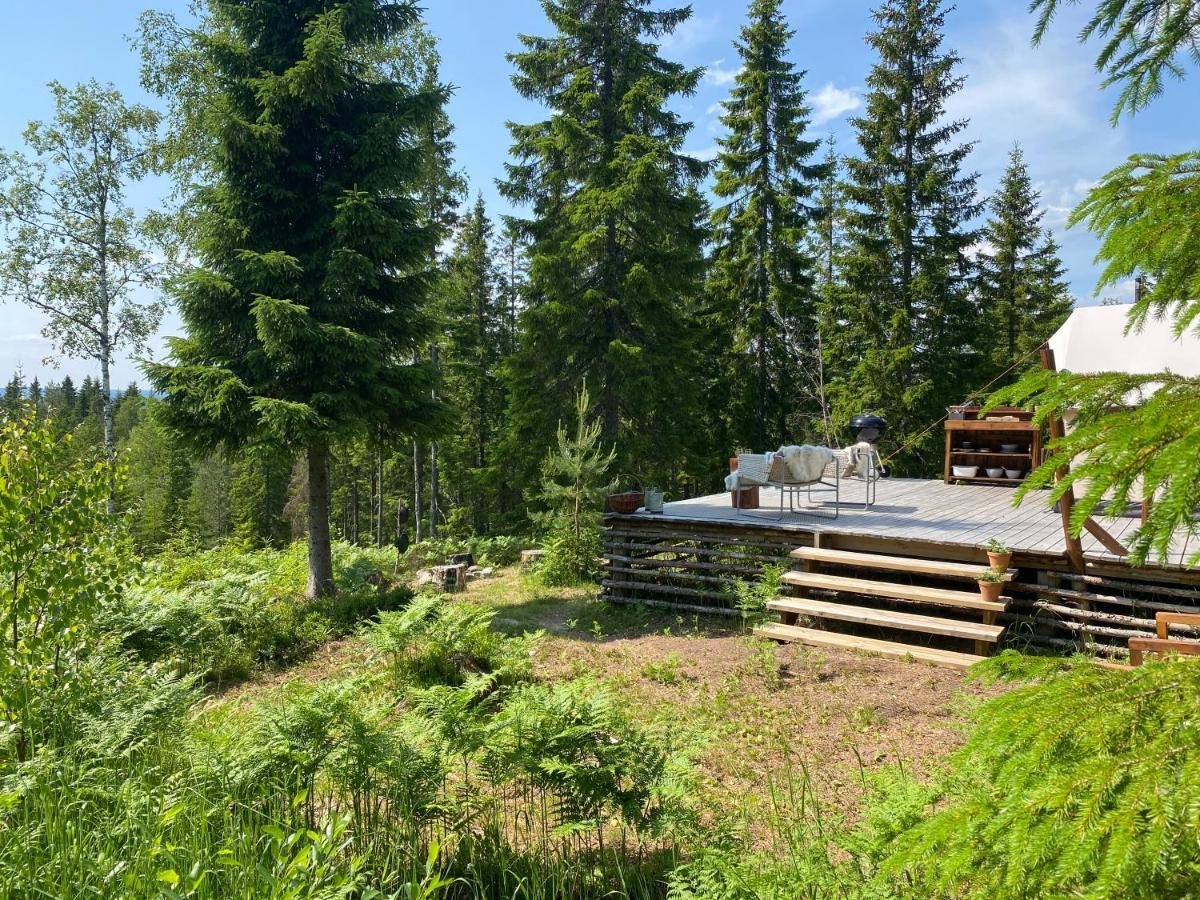 Glamping Tent With Amazing View In The Forest Torsby Extérieur photo