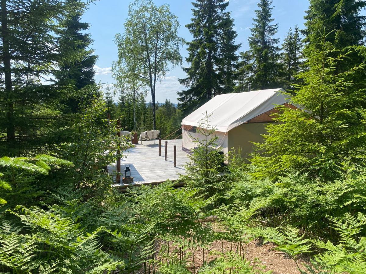 Glamping Tent With Amazing View In The Forest Torsby Extérieur photo