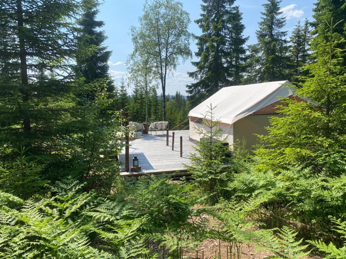 Glamping Tent With Amazing View In The Forest Torsby Extérieur photo